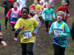 Championnats des Yvelines de cross 2016