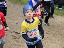 Championnats des Yvelines de cross 2025