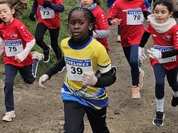 Championnats des Yvelines de cross 2025