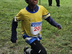 Championnats des Yvelines de cross 2025
