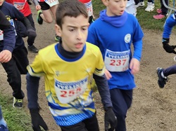 Championnats des Yvelines de cross 2025