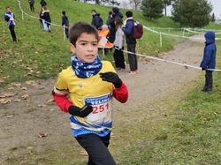 Championnats des Yvelines de cross 2025