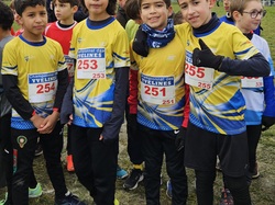 Championnats des Yvelines de cross 2025