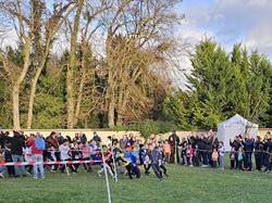 Choco Trail d'Hardricourt 2025