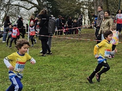ChocoTrail d'Hardricourt 2024