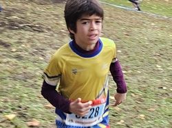 ChocoTrail d'Hardricourt 2024