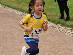 Courses du Château de Sully 2025