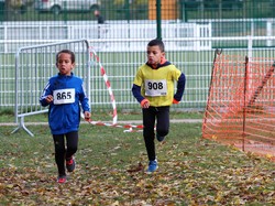 Cross de la Butte Verte 2017