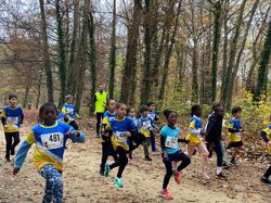 Cross de la Butte Verte 2025