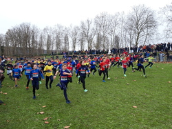 Cross des Mureaux 2024